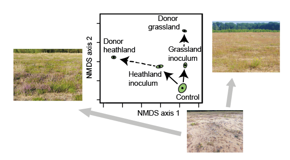 Microbiome steering through soil inoculation